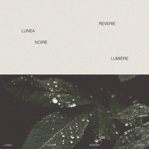 欧美胖熟妇bbbbbbb
