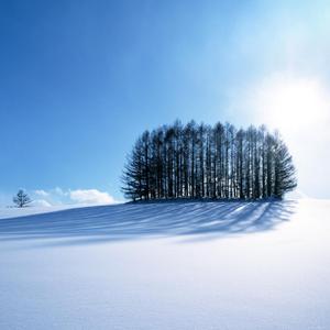 欧美胖熟妇bbbbbbb
