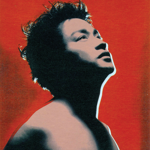 欧美胖熟妇bbbbbbb
